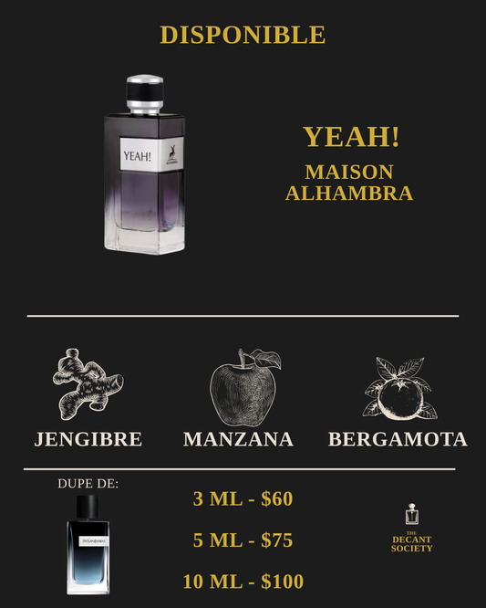 Maison Alhambra – Yeah